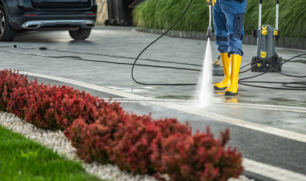 Best Roof Pressure Washing  in Felton, DE